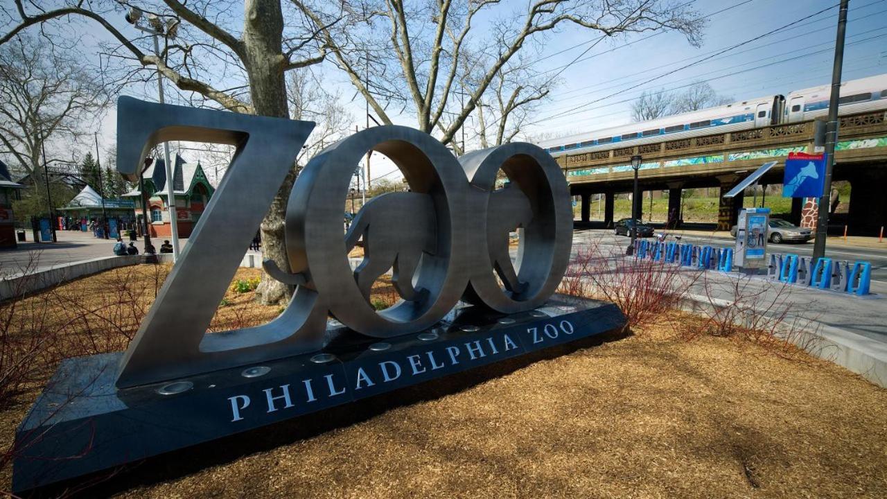 Appartamento Trendy Fairmount Gem-5 Star Location, Roof Deck, Parking, Gr8 For Families Filadelfia Esterno foto